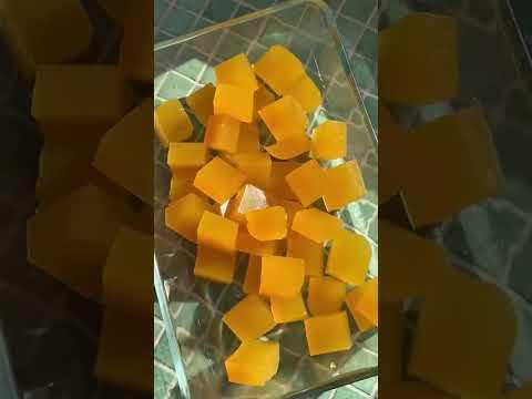 Horse Gelatin Trick Video: What Happens After 30 Days?