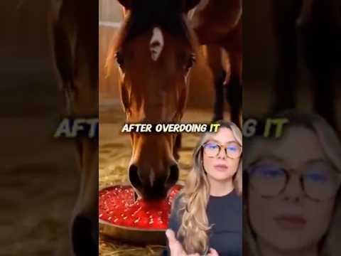 Horse Gelatin Trick Ingredients: Every Version Compared