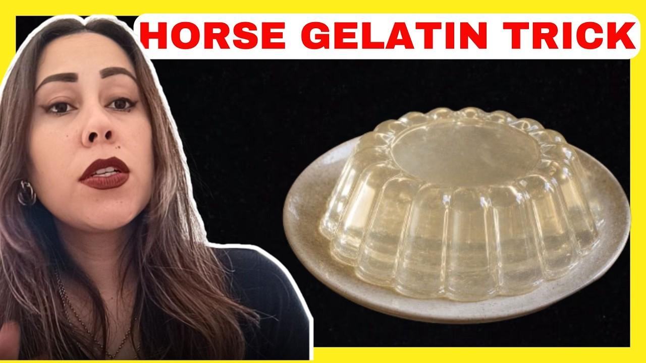 Horse Gelatin Trick TikTok: How the Trend Went Global